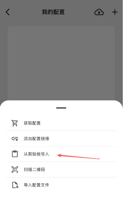 从剪贴板导入